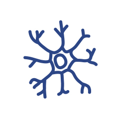 Miglioramento neurologico funzionale* *nei pazienti con PDN