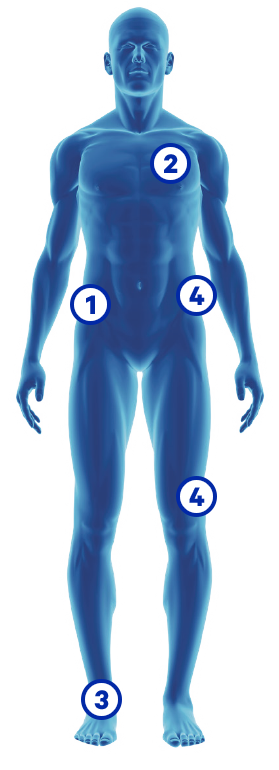 Immagine corpo umano